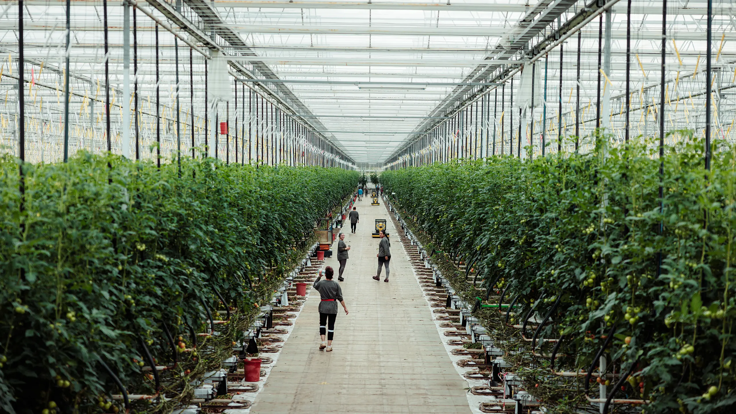 Header-foto-South-West-Growers Header-foto-South-West-Growers